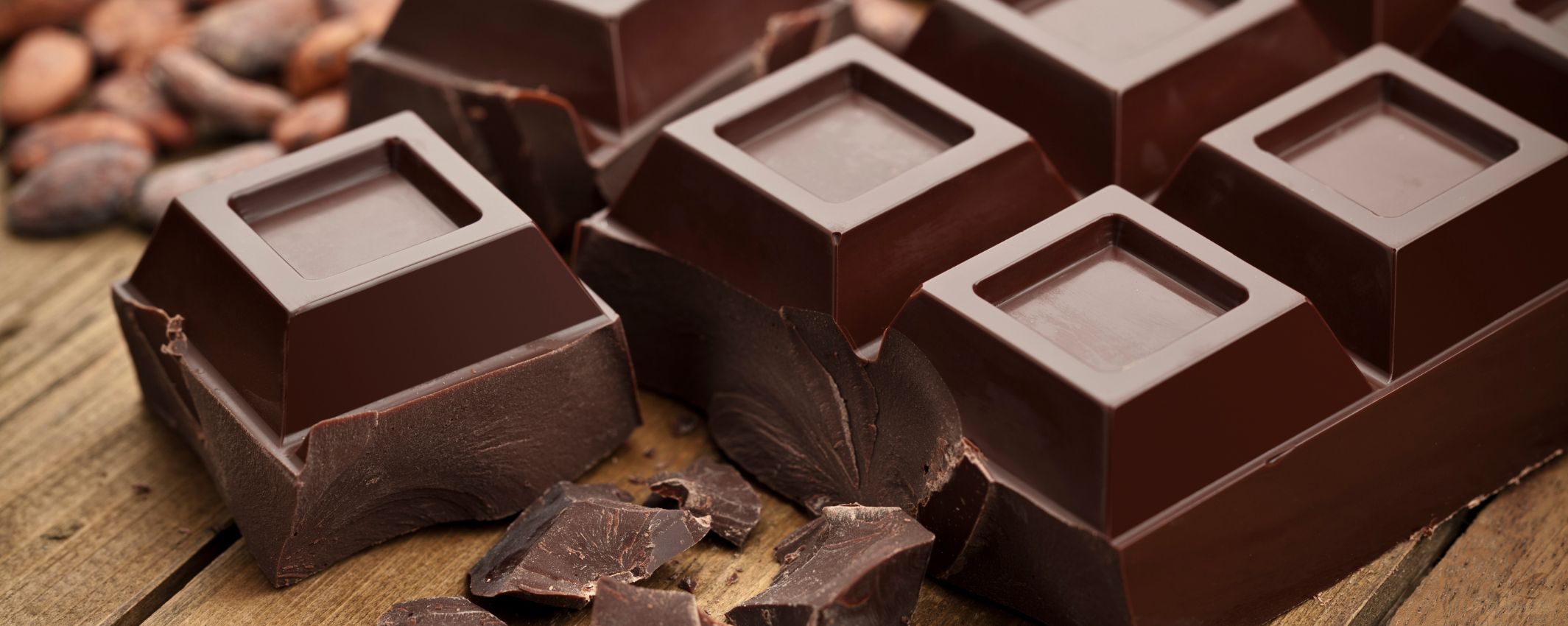 PRODUÇÃO ARTESANAL DE CHOCOLATE